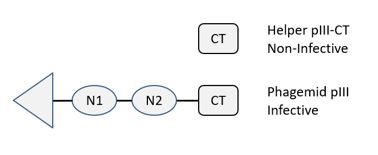 CM13CTv2